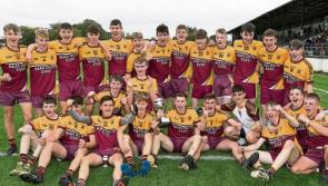 Kildare hurling club to host night at the dogs fundraiser
