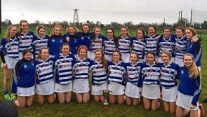 Naas crowned minor camogie champions