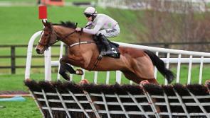 Kildare racing: What will Willie Mullins do with his wonder horses?