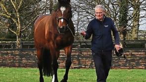 January dates announced for Kildare stud farms Open Days  