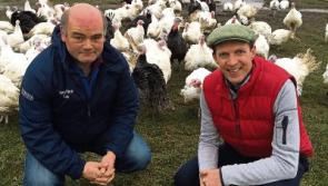 Kildare food business to be highlighted on RTE programme