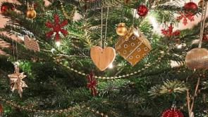 Find out where to dump your Christmas tree in Kildare