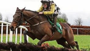 Grade 1 Novice Hurdle looks real competitive affair at Naas on Sunday