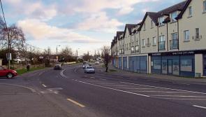 Pressure on to tackle Sallins rats 