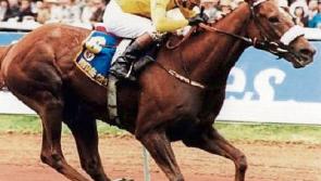 Dermot Weld and Vintage Crop make history with Melbourne Cup victory