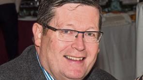 Irish language menu move by Kildare County Council