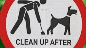 Kildare County Council clarifies recent figures relating to dog litter fines