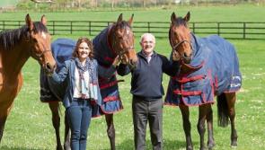 Kildare town's Thoroughbred run set for June