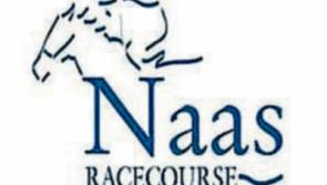 Cheltenham pointers galore at Naas pre-Festival meeting