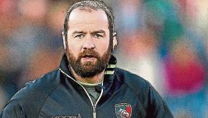 Bands of brothers who have made their mark on Kildare rugby