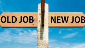 Kildare jobs roundup: Who's hiring across County Kildare this week?
