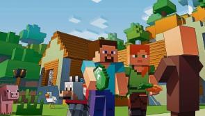 Kildare Minecraft fans wanted to take part in huge convention next month