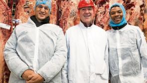 Over 50 international food buyers visit Kildare