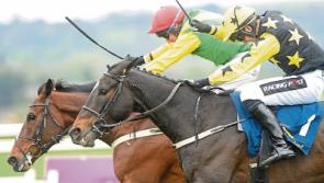 Profile Systems to celebrate 40 years in business at the Punchestown Festival