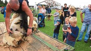 Kildare County show is back in Athy this June