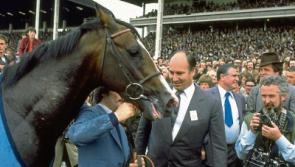 Our debt to the princes of the Kildare turf