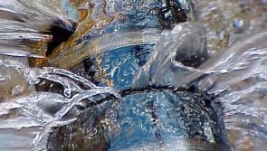 ALERT: Temporary water outage in Carbury, County Kildare