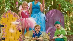 Dust off your fairy wings for Kildare town's Sensational Kids