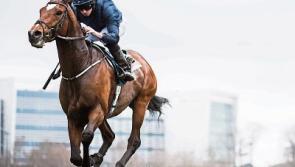 O'Brien lines up four but Johnson has fav for Saturday's 2000 Guineas