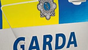 Kildare gardai appeal for information on theft of firearm and gun safe