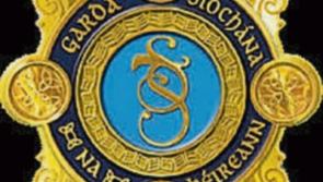 Kildare Division gets nine new Gardai