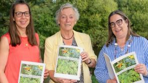 Launch of the County Kildare Hedgerow Appraisal Survey