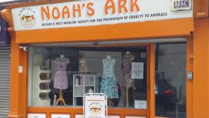 Big Kildare Interview: Animal charity discusses its most unusual donations