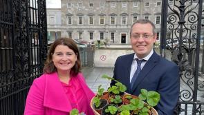 Wicklow TD meets Blessington resident calling for community garden and allotment funding