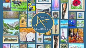PopUpArt exhibition as part of June Fest in Newbridge, Co Kildare, this month