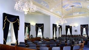 Kildare Senator: “It is vital that Bill to establish a Domestic Violence Register proceeds as quickly as possible”