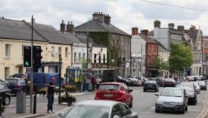 No plans for a community garden in Naas