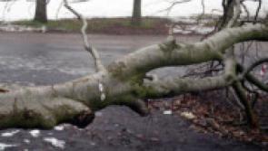 BREAKING - Person injured after tree fall in Monasterevin during Hurricane Ophelia