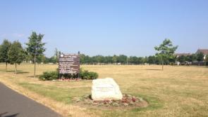 Dangerous dog breeds are running loose in Kildare park