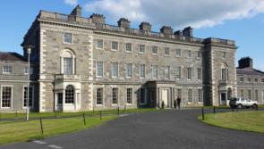 Calls for protection of Kildare 'famine wall'
