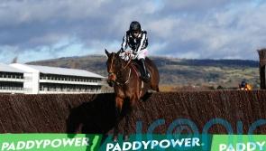 Fergal O’Brien weighing up Cheltenham Festival options for Imperial Alcazar