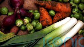Kildare students should be encouraged to grow food