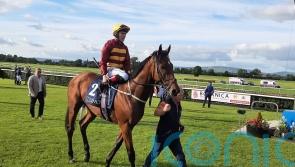 Well-regarded Lyons-trained Hellsing back on the winning trail 