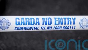 Man in 20s killed in Co Clare road crash