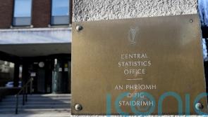 Unemployment rate remains steady as labour market ‘holds its nerve’