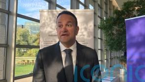 Northern Ireland Protocol a ‘little too strict’, Ireland’s deputy PM says