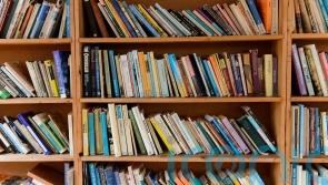 Number of Independent bookshops in Ireland and UK reaches 10-year high after 'astonishing' growth