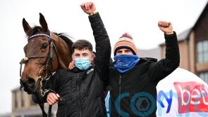 RACING: Ronan McNally handed 12-year ban by Irish Horseracing Regulatory Board