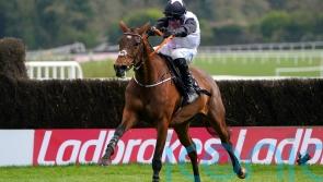 Magic Daze casts her spell for De Bromhead and Blackmore