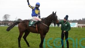 Punchestown Gold Cup winner Kemboy is retired