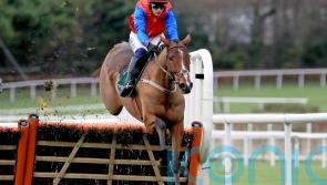 Mullins backing Facile Vega to make amends at Punchestown