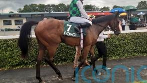 Pearls And Rubies books Royal Ascot ticket for Aidan O'Brien with smart Navan win