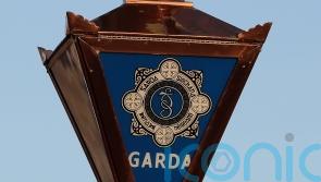Man arrested over fatal hit-and-run collision in Kildare