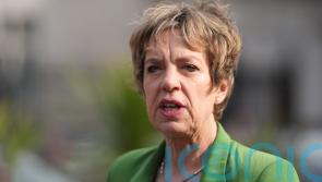 Whiskey and dairy being left out of EU counter-tariffs ‘welcome’, Dail hears