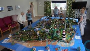 Massive woollen map of Ireland features Kildare landmark 
