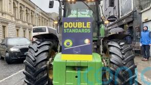 Minister &lsquo;failed&rsquo; to deal with Bord Bia issues at meeting, says IFA president